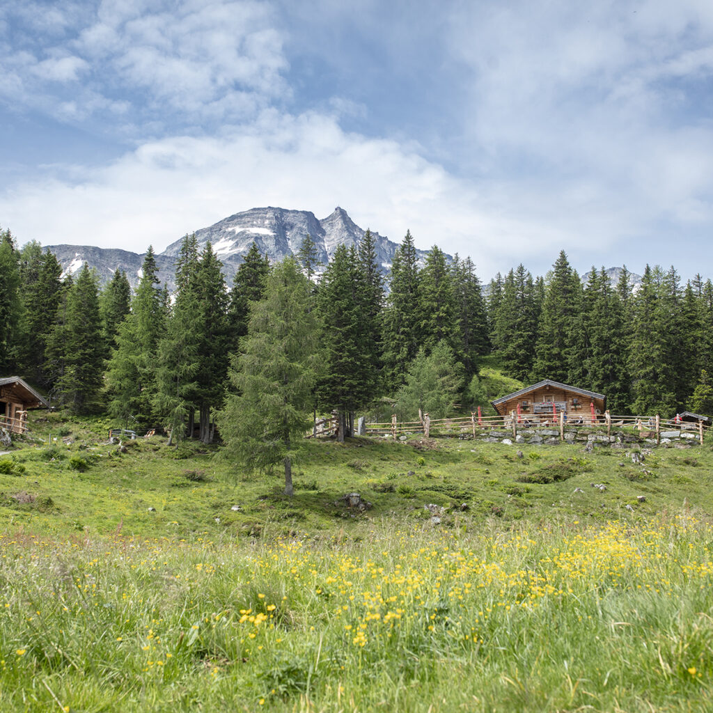 Raurisertal: Yoga in den Goldbergen
