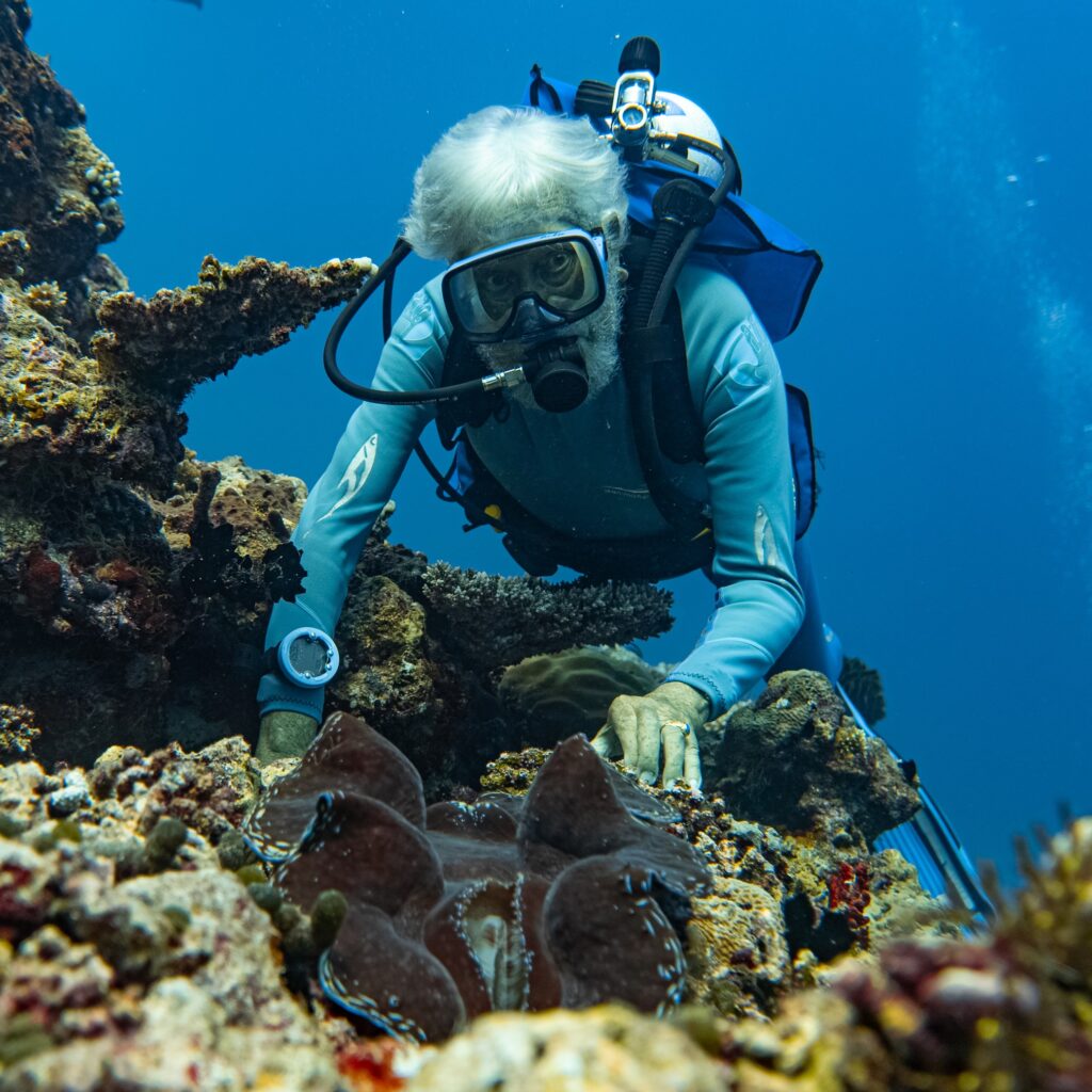 Das The Ritz-Carlton Maldives, Fari Islands engagiert sich 365 Tage im Jahr für den Schutz der Meere und ihrer Bewohner
