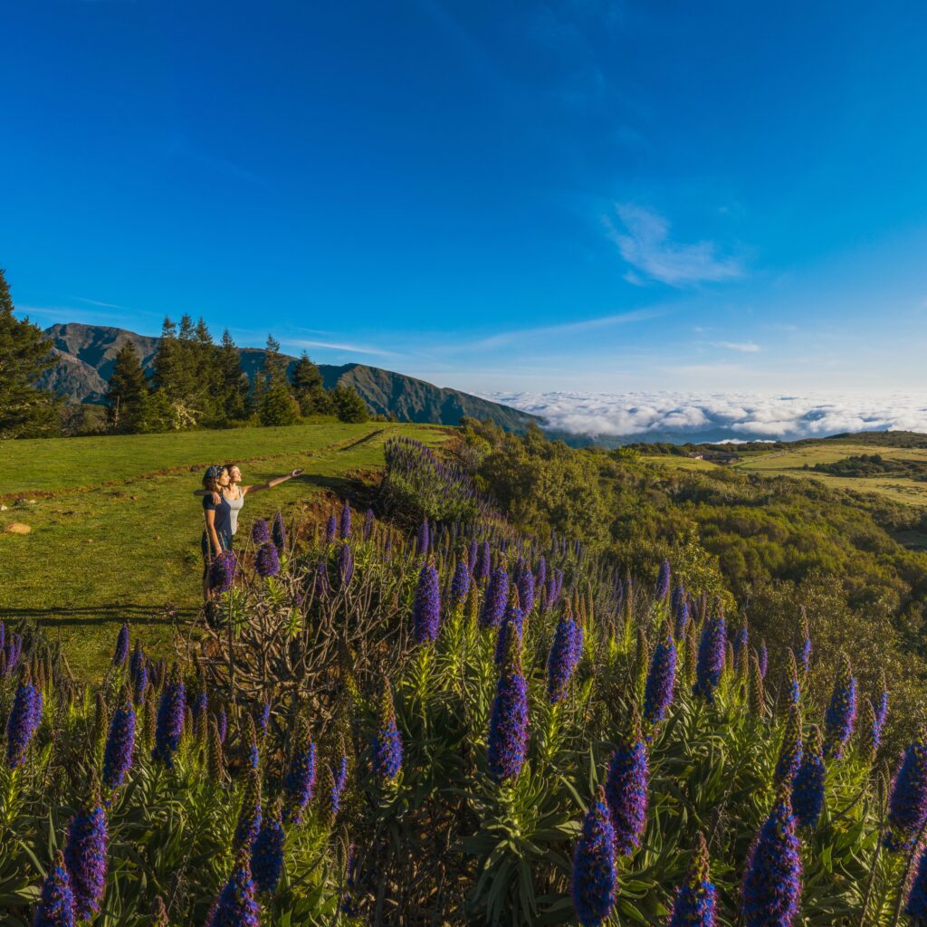 Dem Winter entfliehen auf Madeira – Farbtherapie gegen den Winterblues
