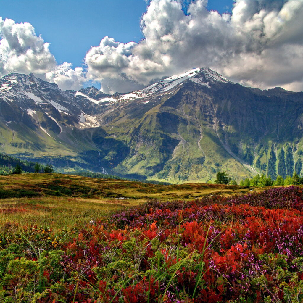 Sonnige Herbstlaune im Raurisertal