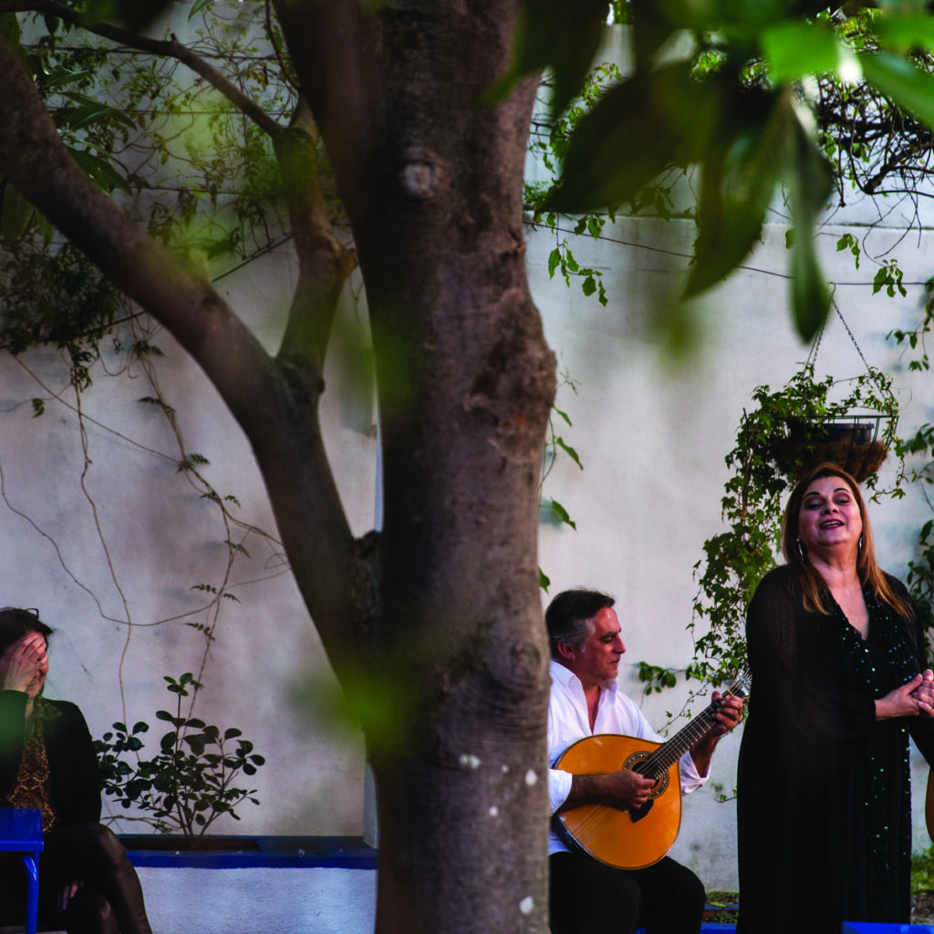 Die Stimme Lissabons: Fado in den Gassen Alfamas