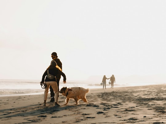 Lissabon auf vier Pfoten: Die Destination setzt auf pet-friendly Reisen