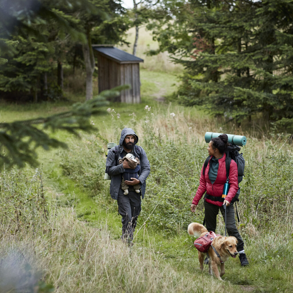 Haustierfreundliches Reisen ist im Trend: Bei 4 von 10 deutschen Hundebesitzern bestimmt der Vierbeiner die Urlaubsziele