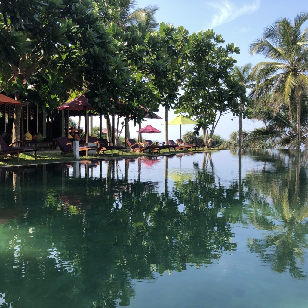 Underneath the Mango Tree: Ayurveda & Detox im sonnigen Süden Sri Lankas